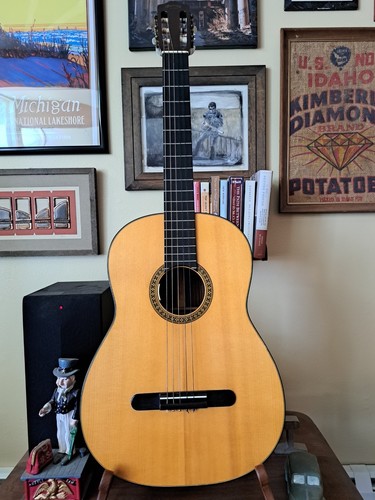 1971 martin classical - martin,