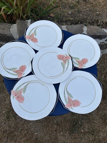 Magnifique assiette plate - 6,