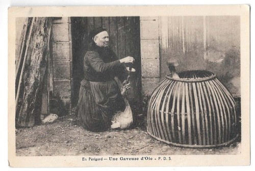 Périgord une gaveuse - périgord,