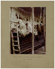 Persia, Armenian and Persian Woman, Carpet Making in Sultanabad Vintage