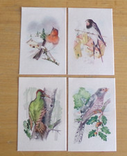 1960 CUCKOO -RED THROAT - SWALLOW - PIC PICTURES BIRDS NEW MY GARDEN