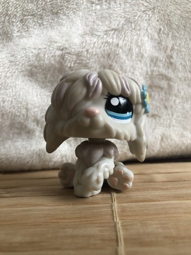 Lps littlest pet - littlest,