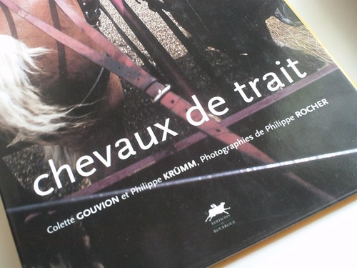 Chevaux trait colette - de, -colette