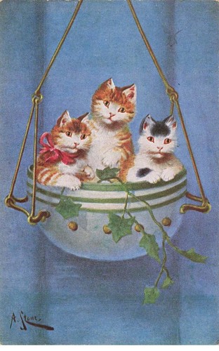 Chats mk39991 trois - #mk39991,