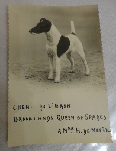 Format cpa chenil - cpa, du