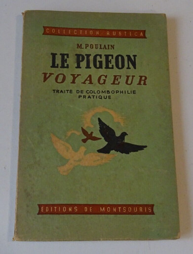 Poulain pigeon voyageur - m.,