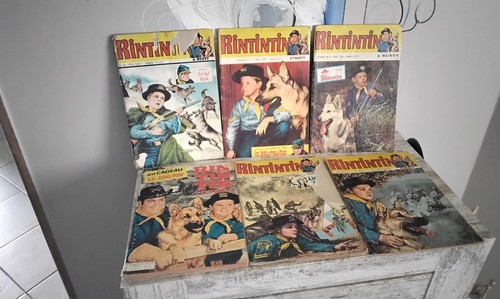 Rintintin 81 82 - rintintin, 73/74/77/80/81/82/83