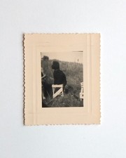 Caniche chien noir assis petit