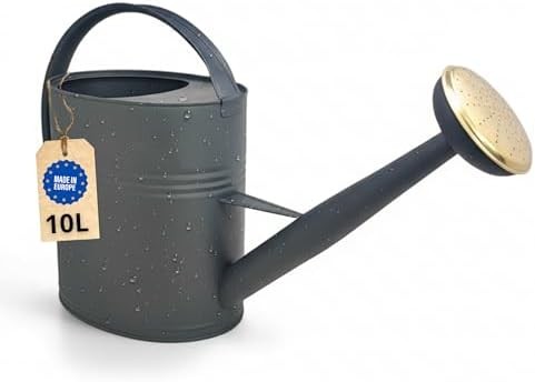 Arrosoir 10l métal galvanisé - arrosoir,