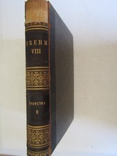 BREHM VIII /  INSECTES II