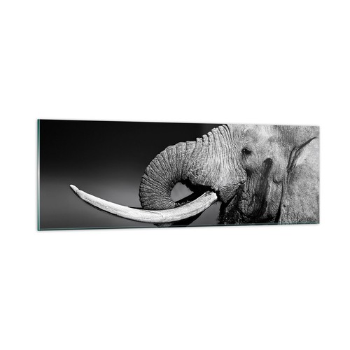 Impression sur verre 90x30cm - sur,