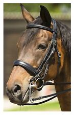 Bride de Dressage pour Morsure Et Fil Weymouth Double Bridle