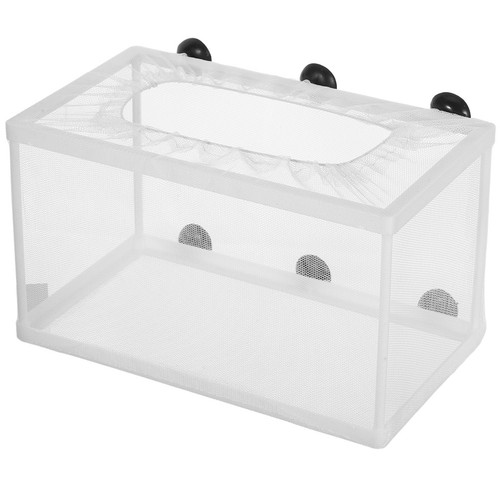 Incubateur poisson aquarium - poisson,