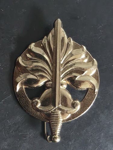 Coiffure insigne de béret - .,