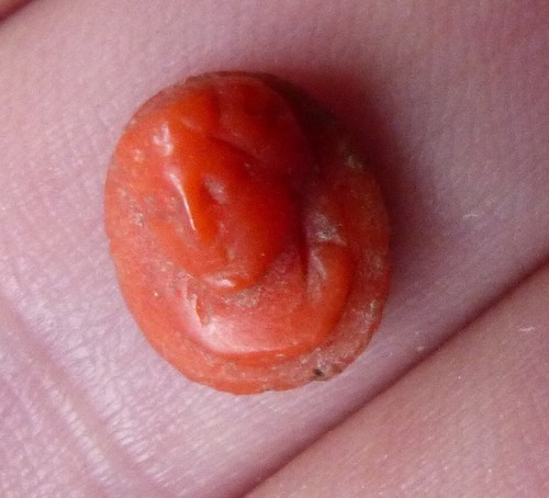 Minuscule camée corail - minuscule,