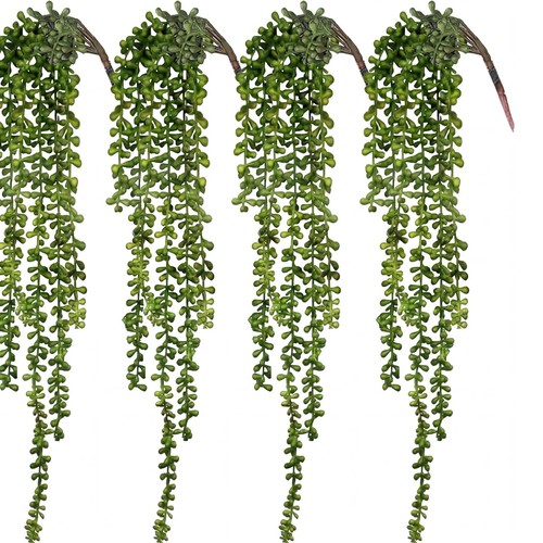 Cewor lot plantes - lot, 4