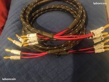 Câbles enceinte DH Labs