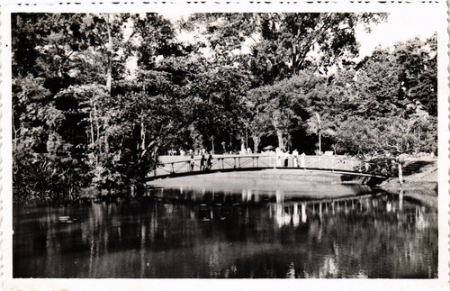 Cpa saigon jardin botanique - cpa,