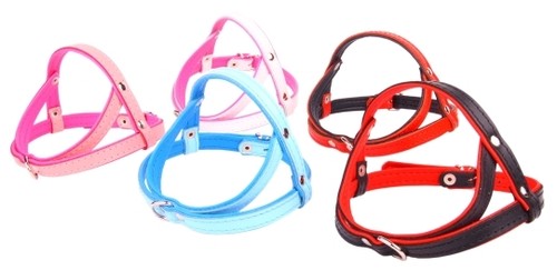 Harnais chien cuir - chien,