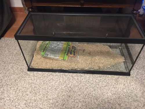 Vendre terrarium 30 - a,
