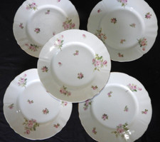 Limoges porcelain ca 1900: 5 flat plates 24 cm (flowers - hand painted)
