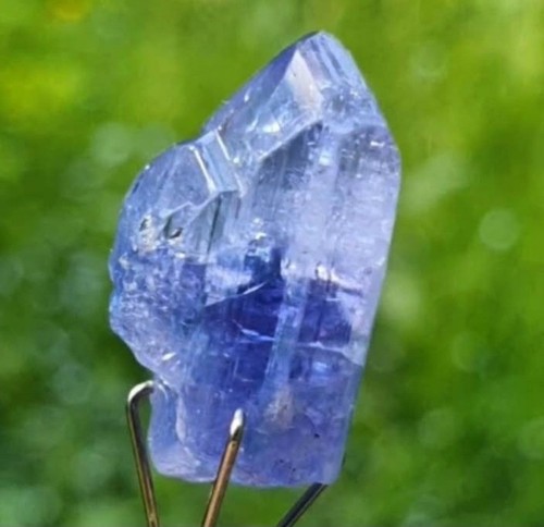 Tanzanite crystal ct - crystal, 13.8