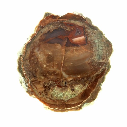 Lithophyse 195 massif - ct.,