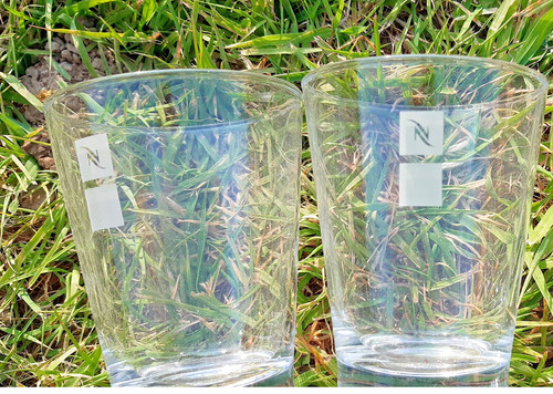 Gobelets shetland nespresso - gobelets,