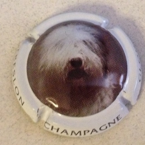 Capsule champagne glod - capsule,