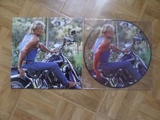 JOHNNY HALLYDAY 33T PICTURES DISC