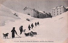 SUISSE GRAND SAINT BERNARD