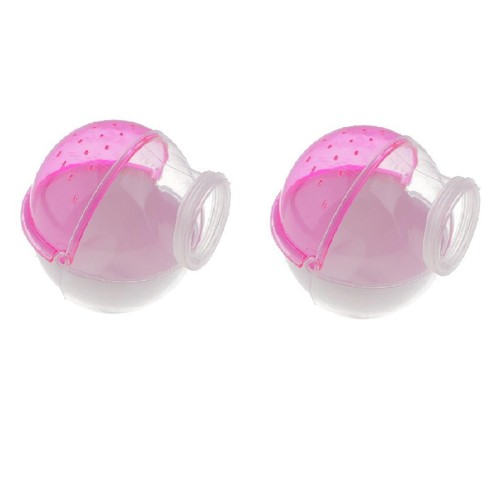 Pcs hamster souris - pcs,