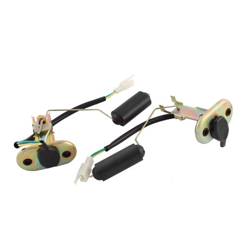 Chien compagnie palm gant - compagnie,