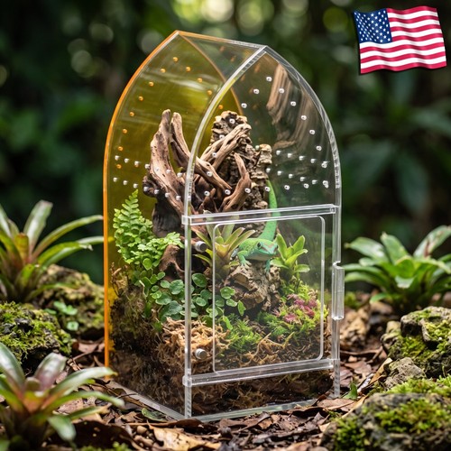 Jumping spider enclosure - spider,