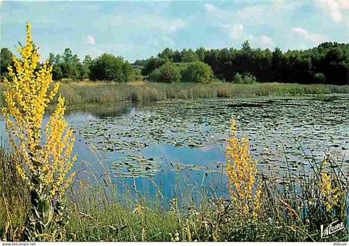 Carte postale sologne - -,