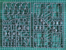 Warhammer Old world : 10