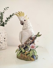 Ancien Cacatoès Perroquet en