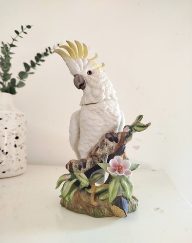 Ancien cacatoès perroquet - ancien,