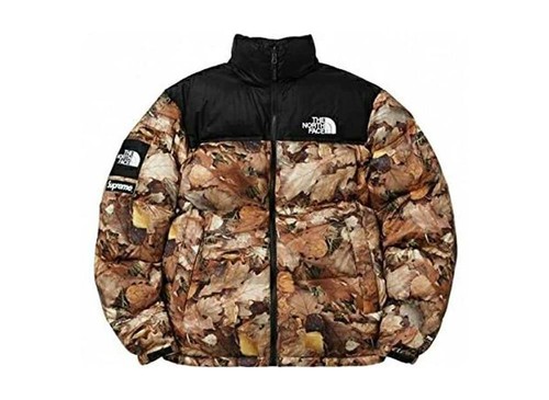 Supreme the north face leaves - face,