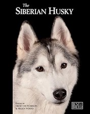 Siberian Husky - Best Of