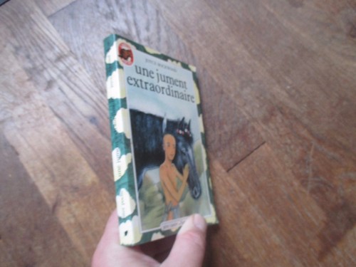 Castor poche flammarion - castor,
