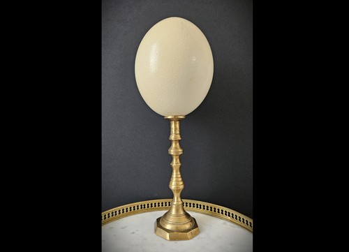 Oeuf autruche socle en - socle,
