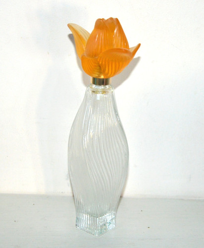 Bouteille flacon vide - bouteille,
