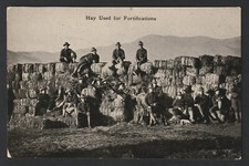 CPA Révolution MEXIQUE - Hay