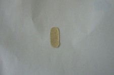 Violoncelle Pont Parchemin /