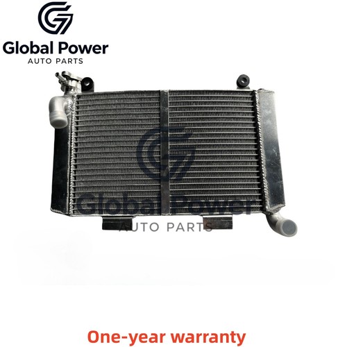 Radiator for suzuki rgv250 rgv - radiator,