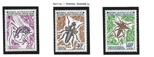 Taaf insectes 1972 - 19-,