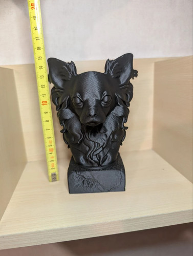 Buste chihuahua poil long - ,