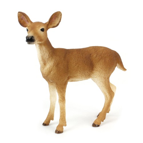 White tailed doe wild life - white,