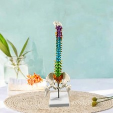 Colonne du modèle de